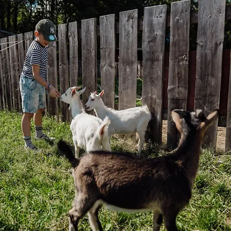 Horec - Depandance Hotela Hubert Vital Отель Герлачов