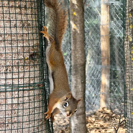 Horec - Depandance Hotela Hubert Vital 3*